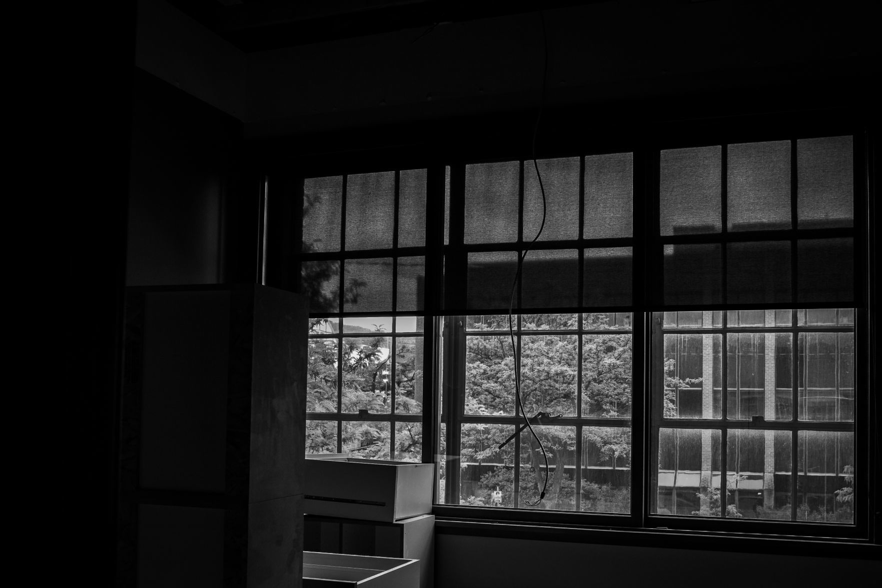 Office windows of the ZACC